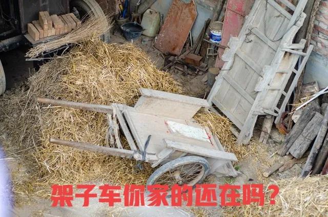 小时候最喜欢坐的车是什么车,盘点童年时坐过的那些“车”