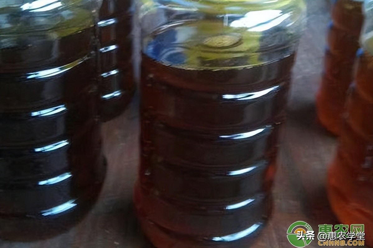 核桃油价格多少钱一斤,核桃油价格一般多少钱