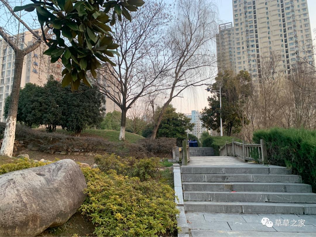 合肥一中有一个后花园，你进去玩过吗？早春里的一中后花园