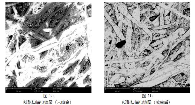 扫描电镜为什么镀膜,扫描电镜喷的是什么金