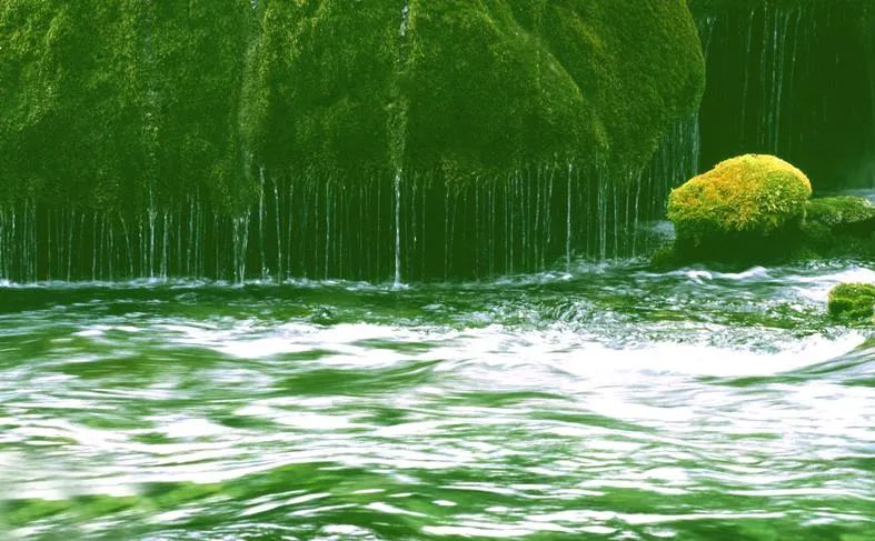 那些一眼就惊艳到你的诗词,50句意境超美的诗词