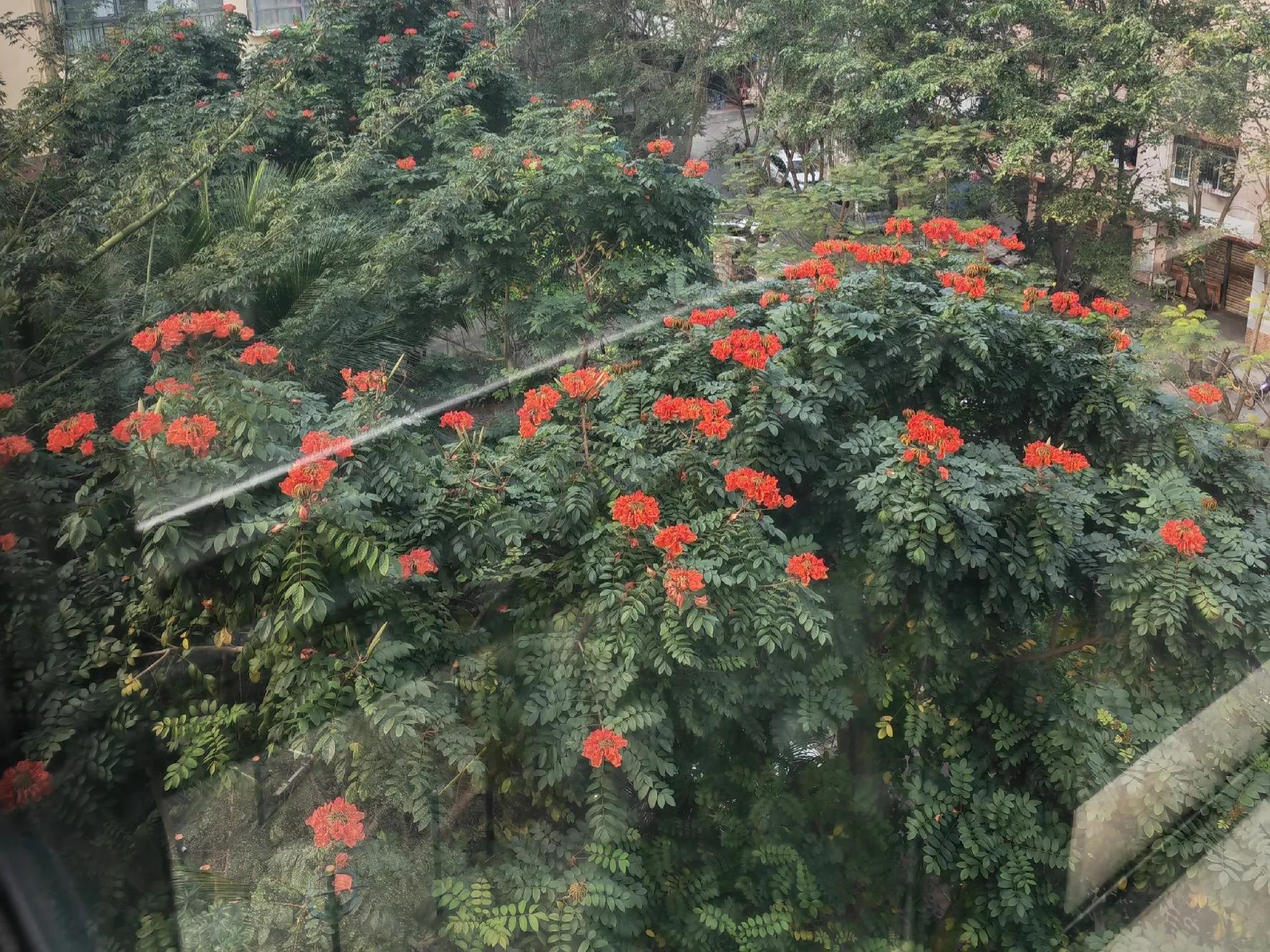 一车两人海南,一人一车自驾游海南怎么玩最实惠