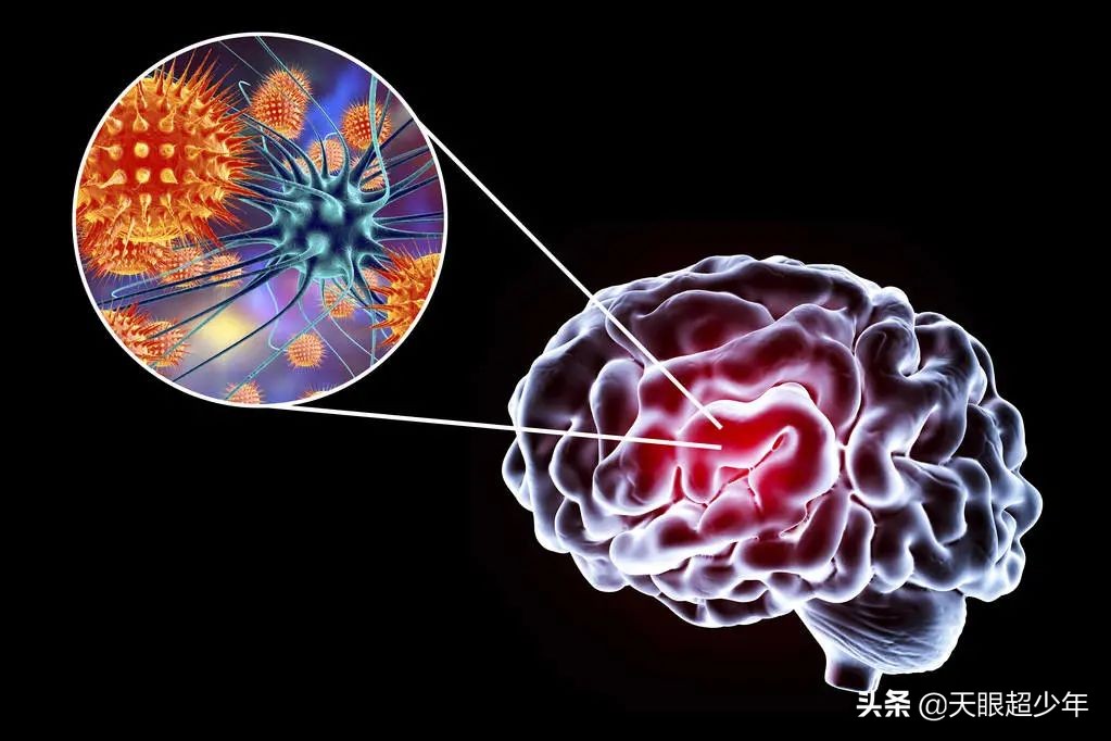 睡眠脑电波是怎样产生的,五倍深度睡眠脑电波