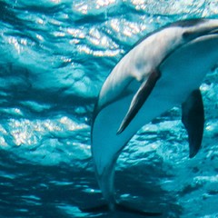 青岛人气景点盘点｜10个推荐景点及周边玩法攻略