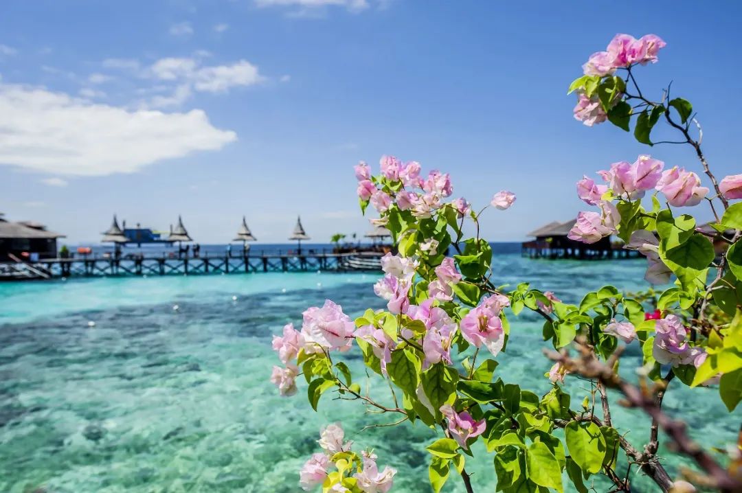 东南亚三个国家,东南亚现在疫情适合旅游吗