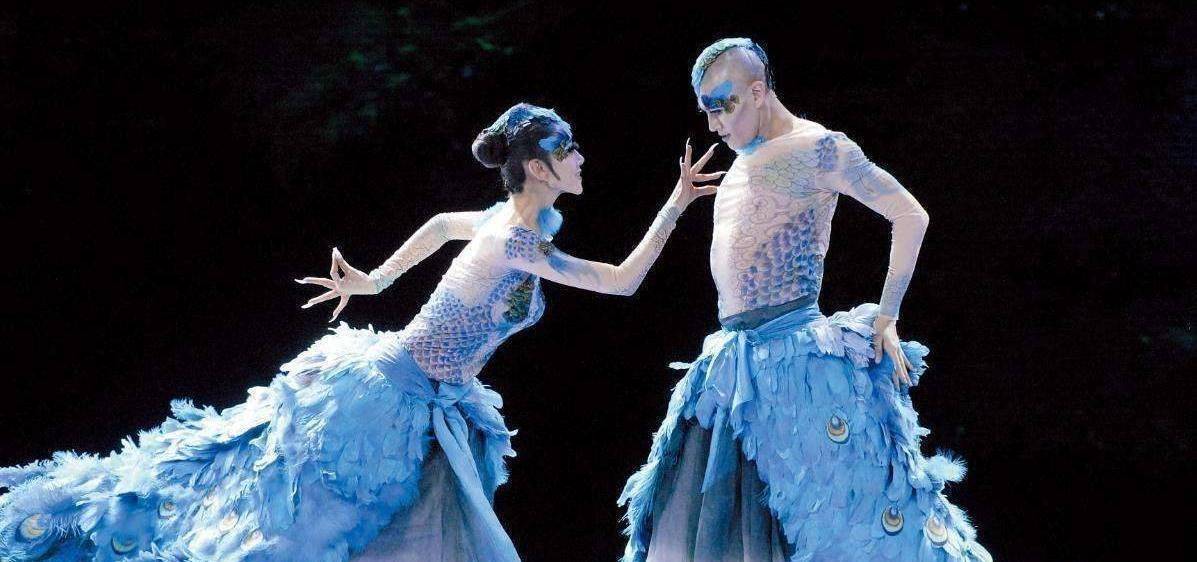 金星最近的舞蹈表演,被金星高度评价的舞蹈