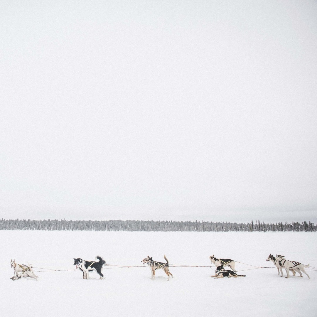 零下5度的寒冰床！瑞典冰屋酒店再度营业，每间房都美到失语！