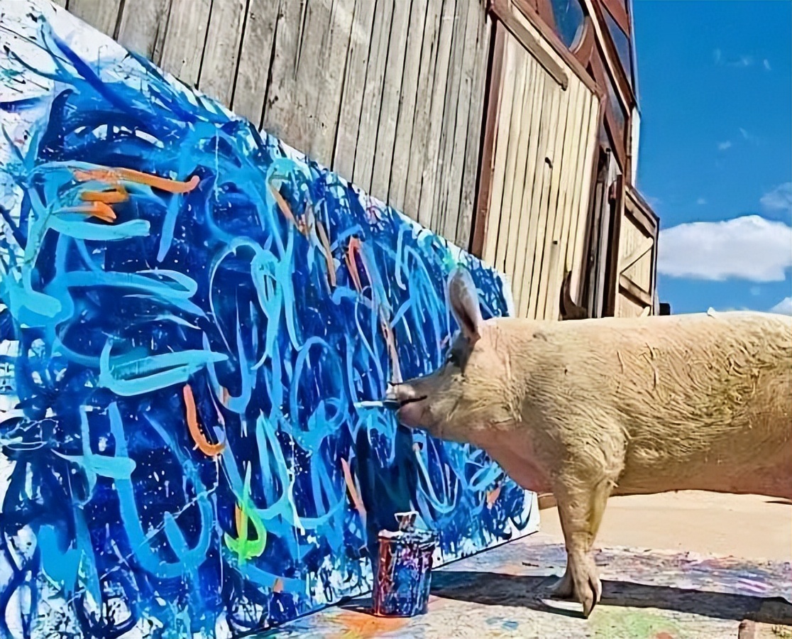 不要不相信，画了十年，或许还不如一头猪