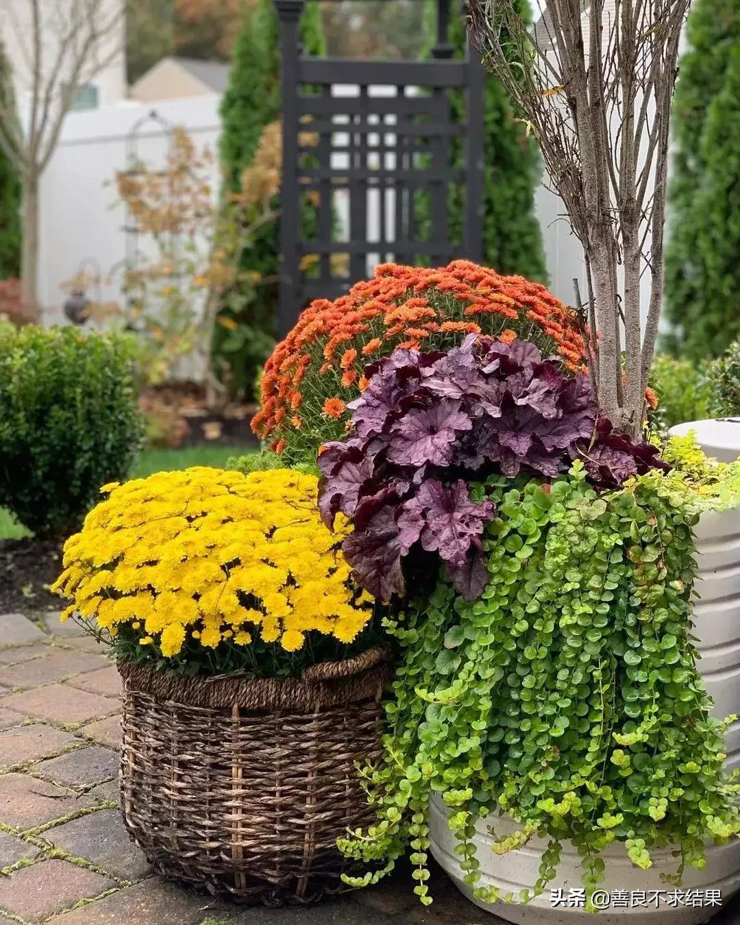 古朴的“农家小院”,总是备受人们喜爱