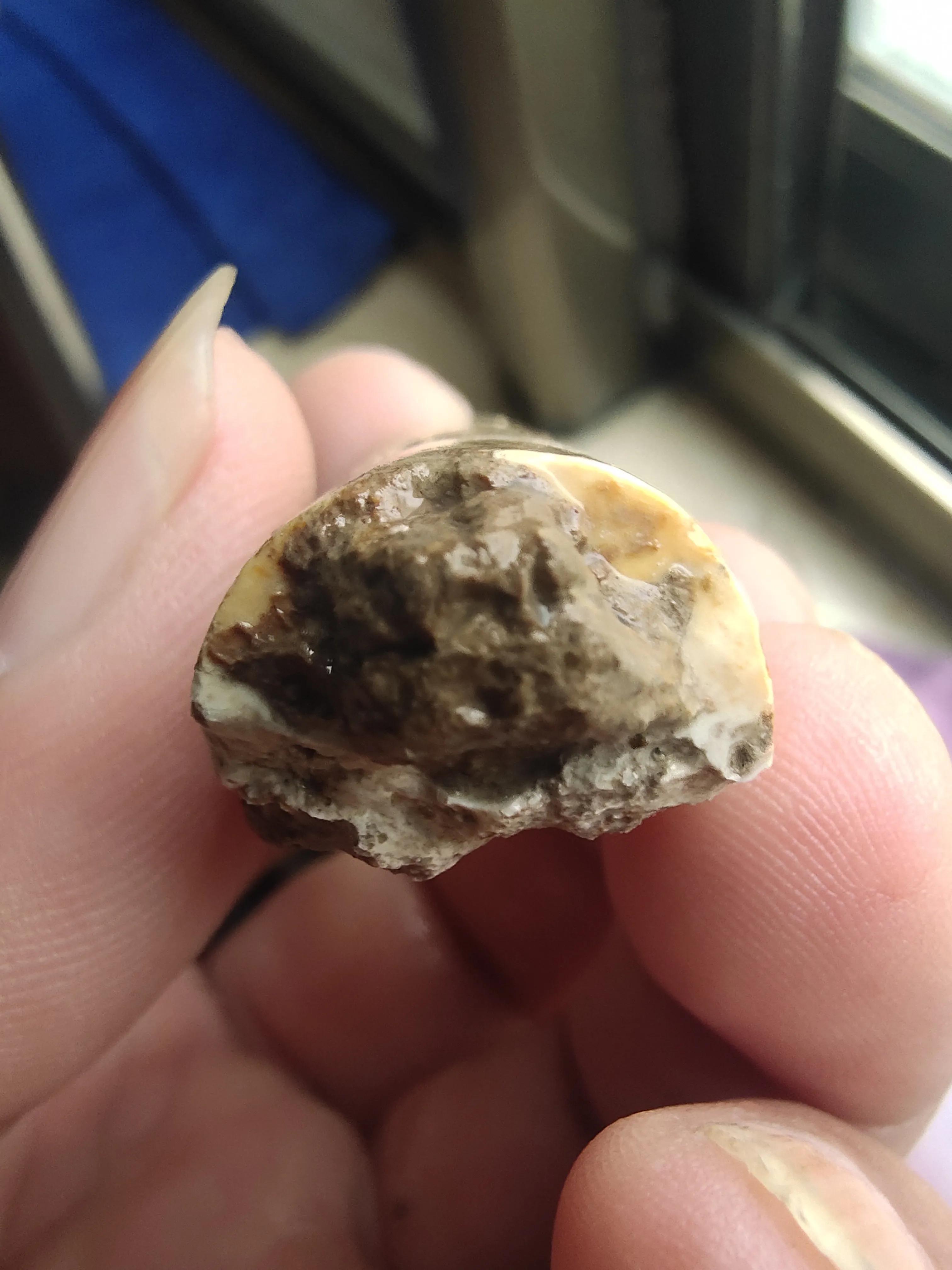 试论高古玉标本是如何毁灭的