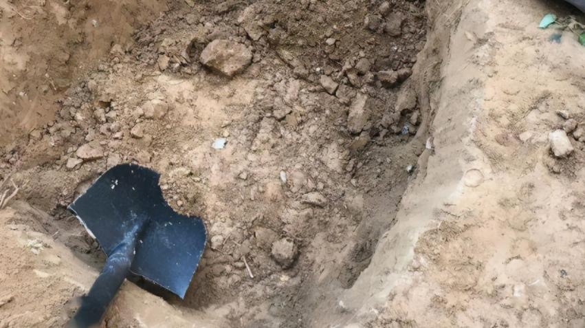 松红梅花好养,松红梅怎么养才能多开花