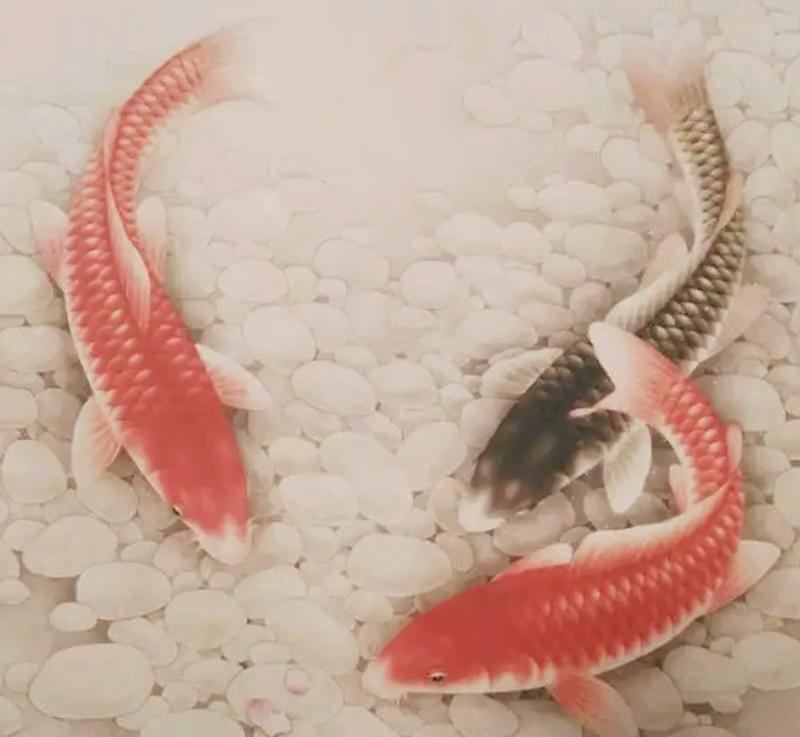 民间故事鲶鱼泄天机,民间真实故事鲶鱼泄天机