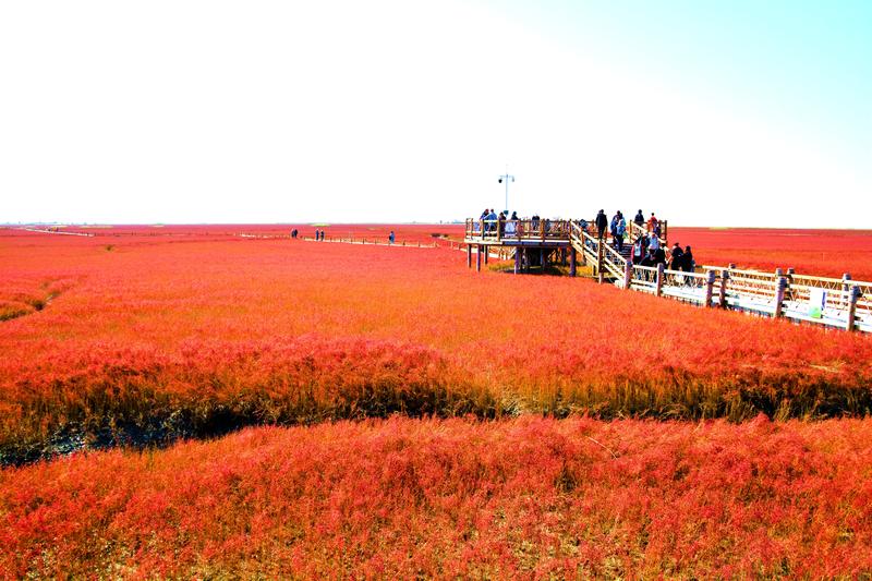 辽宁盘锦在哪个地方,去盘锦旅游哪里好