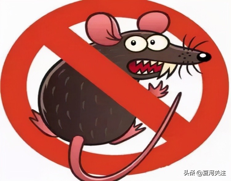 预防流行性出血热视频,幼儿园出血热疾病预防