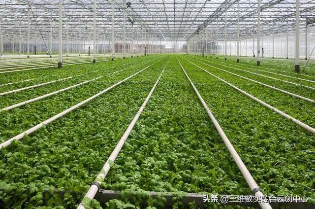 智慧农业为乡村振兴注入新活力,大力发展智慧农业助推乡村振兴