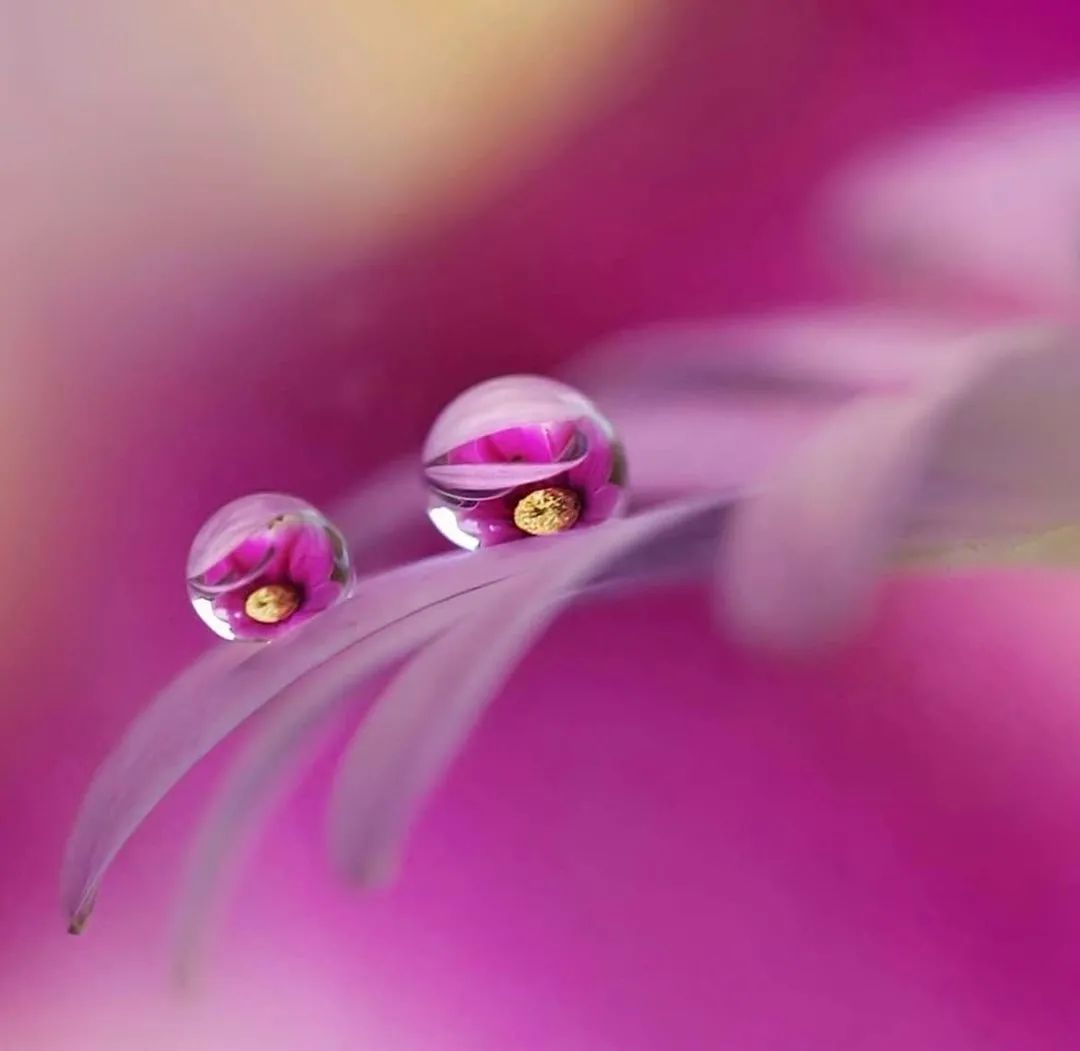 对知己的理解是什么,知己到底怎么理解