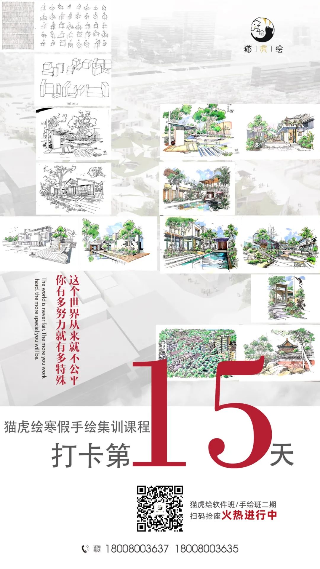 猫虎画,猫虎绘画