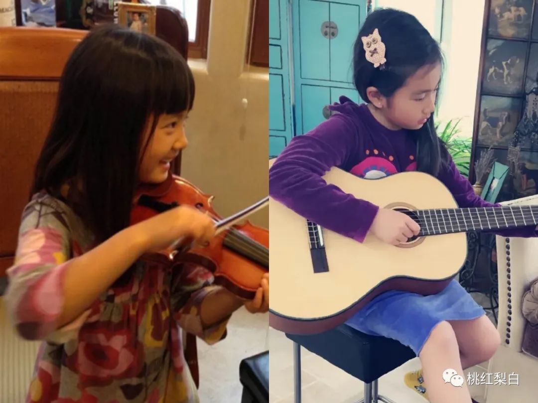 要多少钱才可以培养一个黄多多,培养一个黄多多需要多少钱