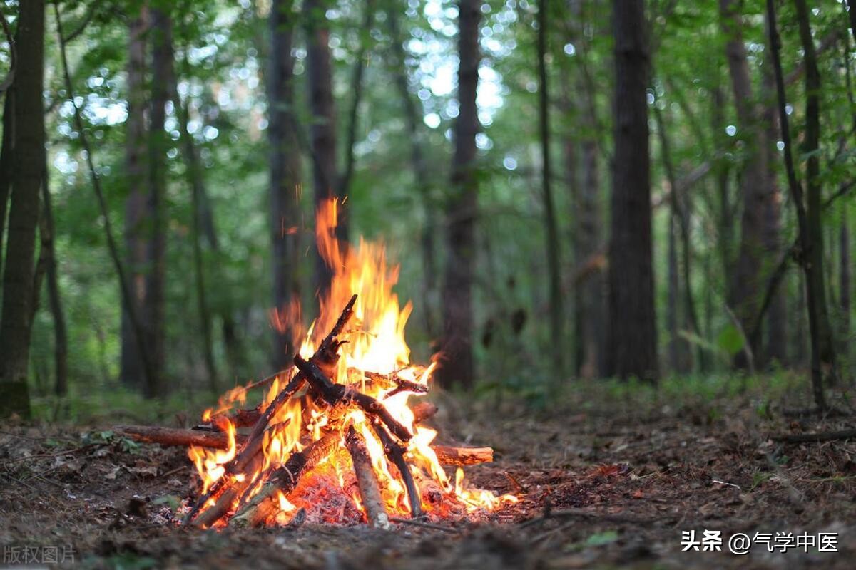 木和火代表什么意思,代表木和火的数字
