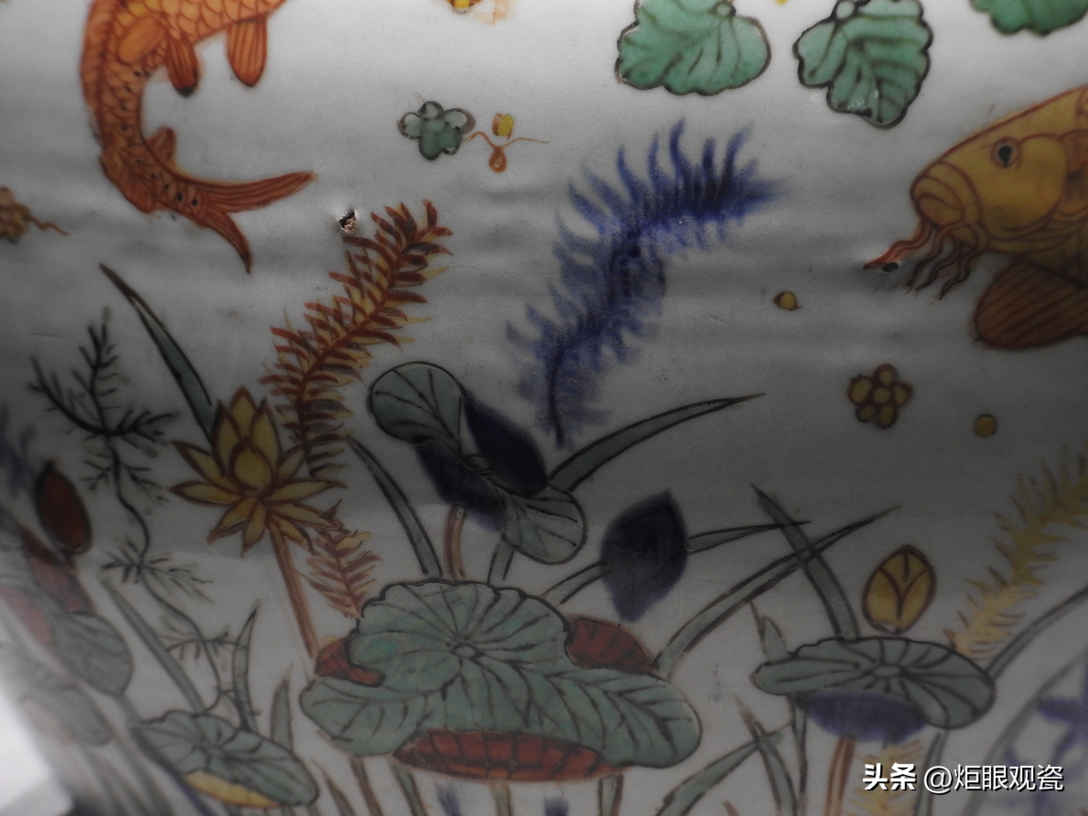 鱼乐其中——细观嘉靖五彩鱼藻纹罐的黄上红、翡翠绿、回石青