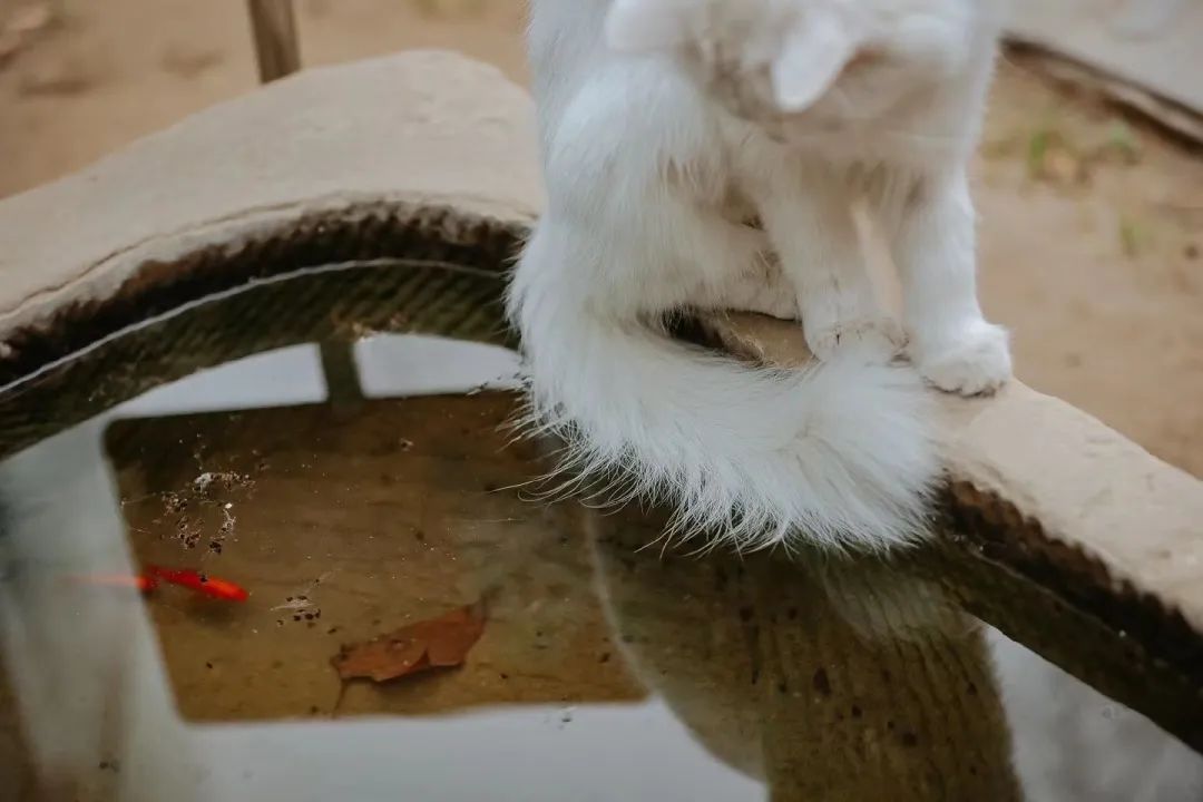 赵明明：上班摸鱼，是我的梦想!