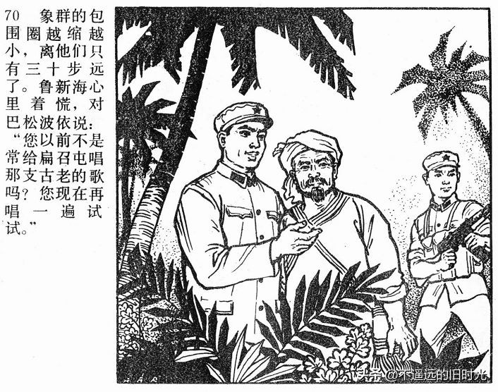 大象搬家,大象搬家河北