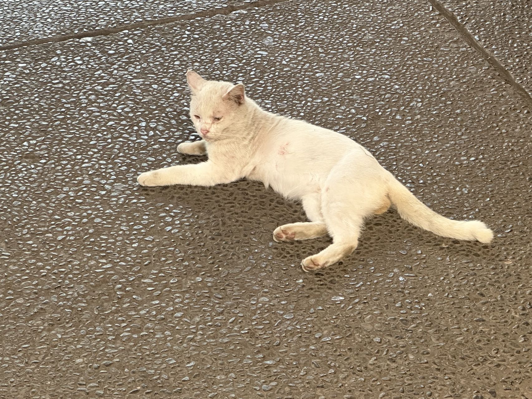 印尼雅加达值得去吗,印尼是世界第几大国家