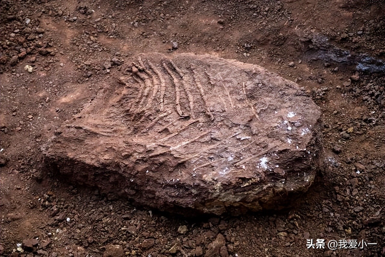 云南楚雄古建筑屋顶,云南楚雄守护古建筑