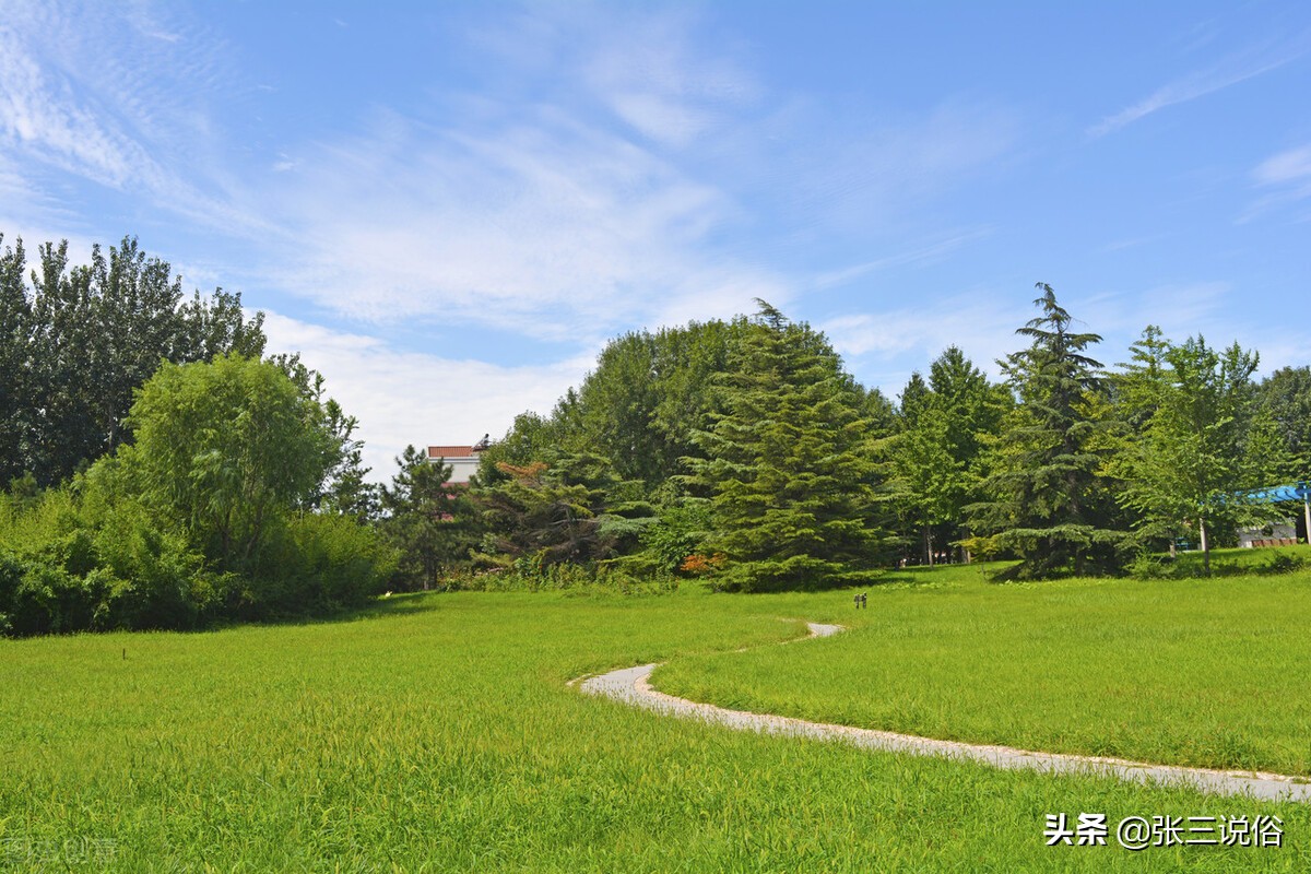 吉人自有天相的征兆,吉人自有天相吉人就是有福气的人