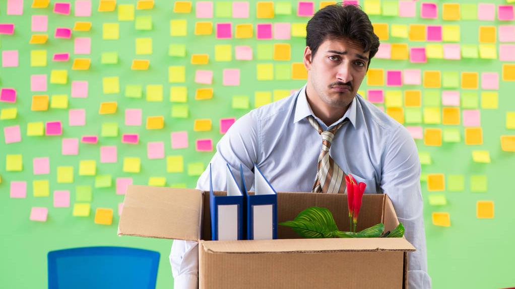 审计舞弊案例视频,人力部门审计流程及风险解决办法