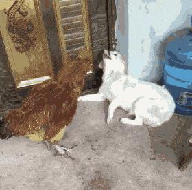 女朋友平胸是什么心理,女生平胸如何安慰