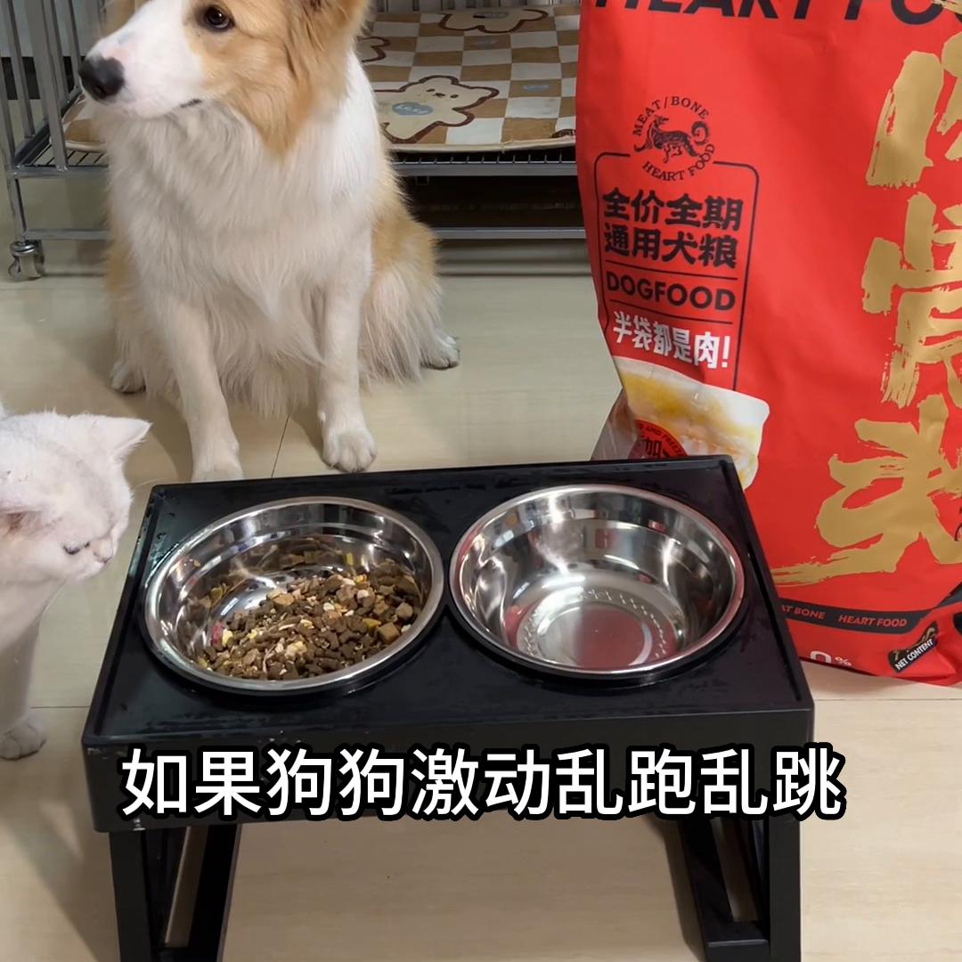 幼犬一吃饭很激动怎么训练,吃饭特别快控制不住有心理问题吗