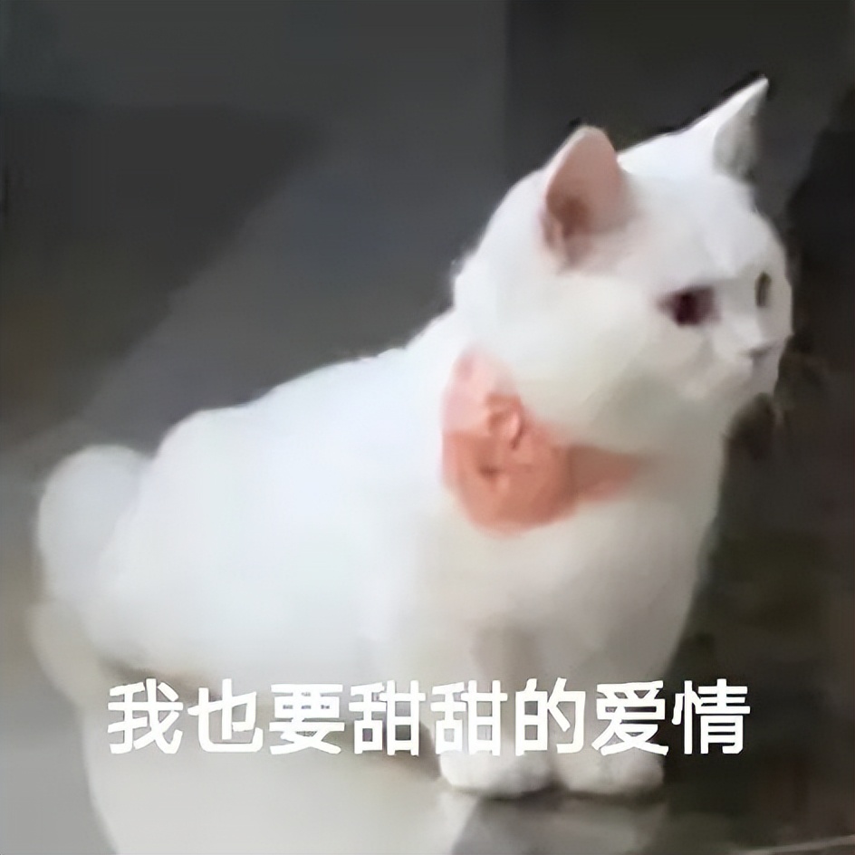 十二星座男生分手怎么挽回,怎么可以挽回十二星座男友