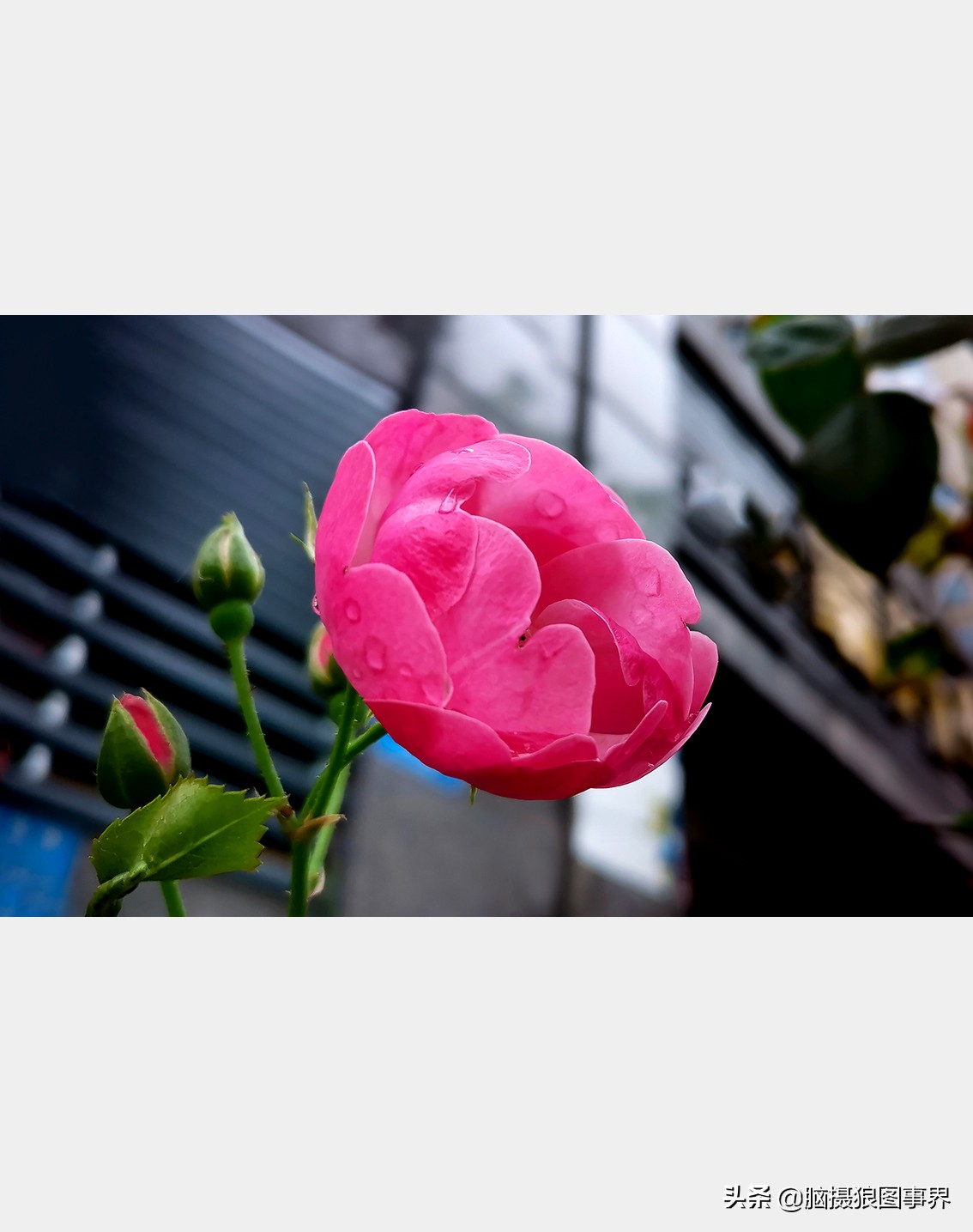 手机拍照不清晰怎么才能拍的好看,vivo手机拍照模糊怎样才能变清晰