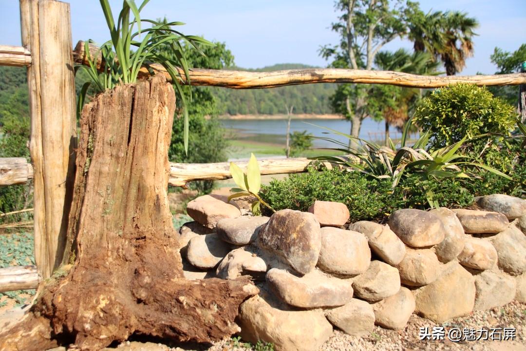 石屏哨冲拖黑村,哨冲镇拖龙黑村图片