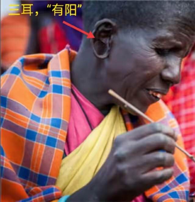 山海经2012白话全译彩图版pdf,山海经海外西经是指哪里