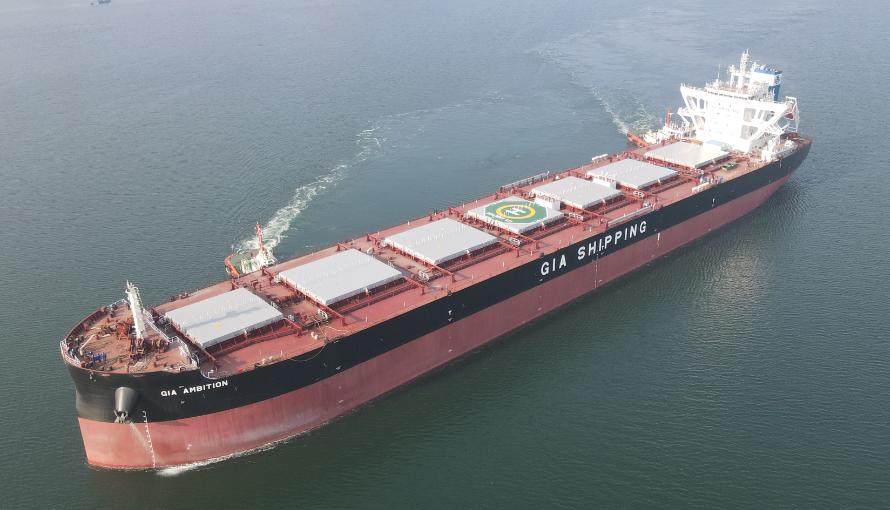 嘉航散货船,嘉航201船