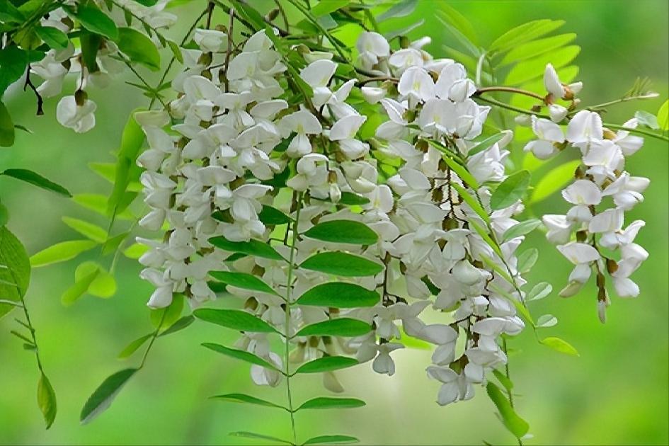 相遇不如不遇的诗句,关于难得的人生际遇的古诗词