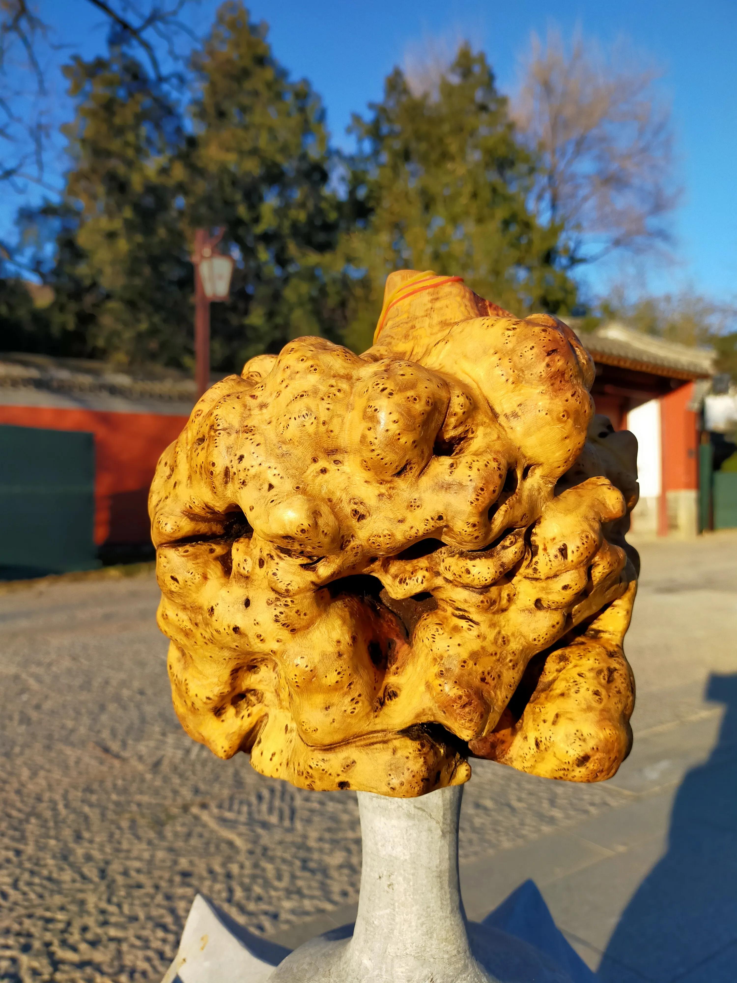 麻梨疙瘩工艺,麻梨疙瘩适合做什么