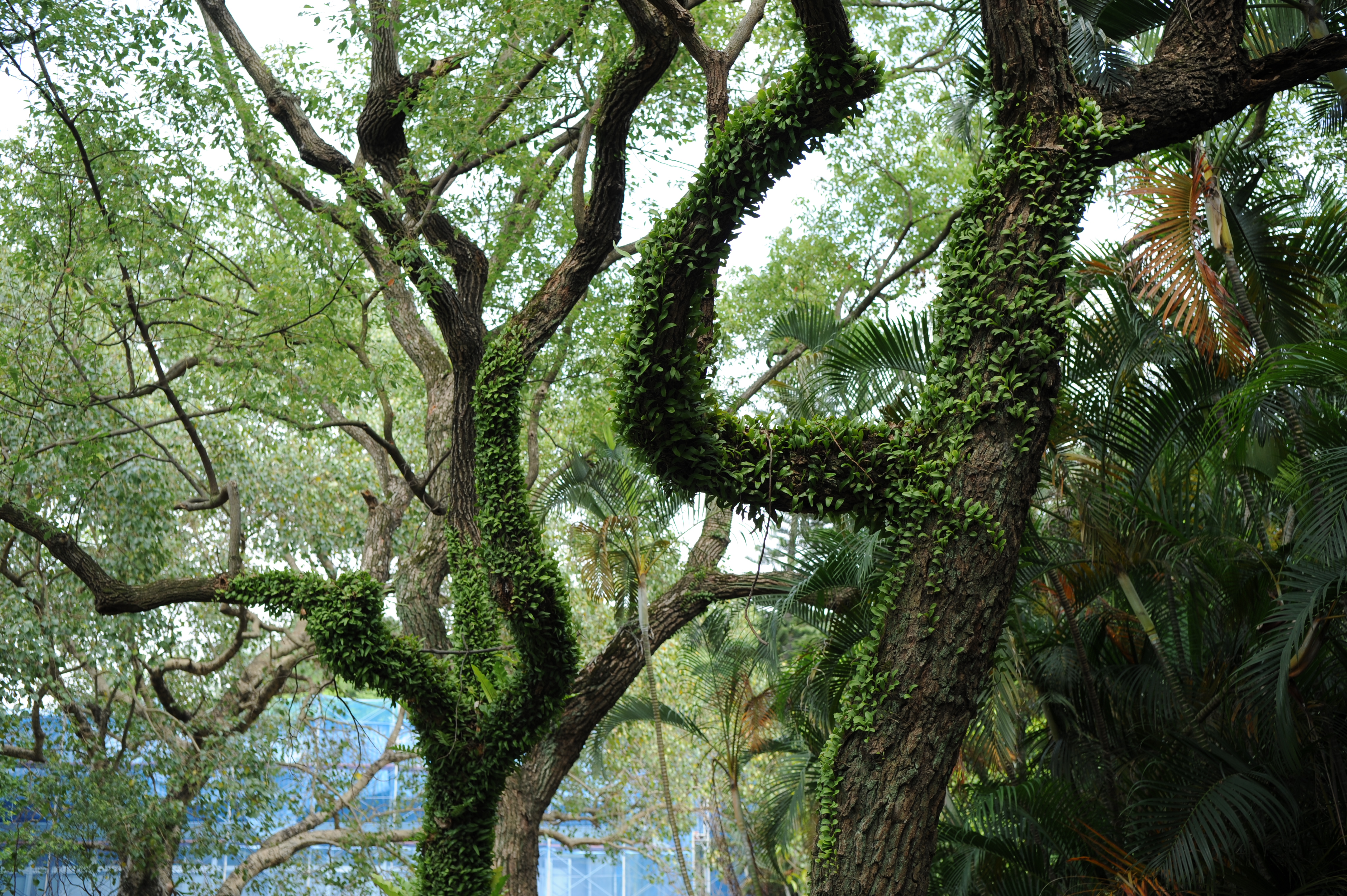 祖国我来了完整版,祖国我来了