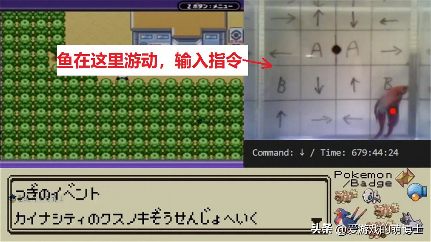 鱼儿会氪金!《宝可梦:朱/紫》游戏主播遇到了一件稀奇的事