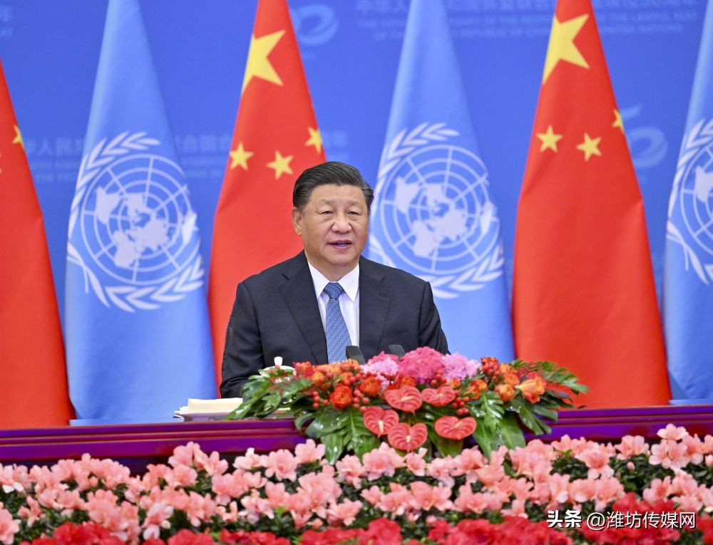 特稿：新征程领路人习*平近**