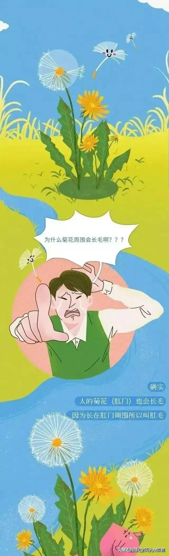 为什么肛门周围也会长“毛”？如果刮掉会怎样？（漫画）