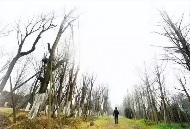 是时候为4500000000岁的TA做点什么了!