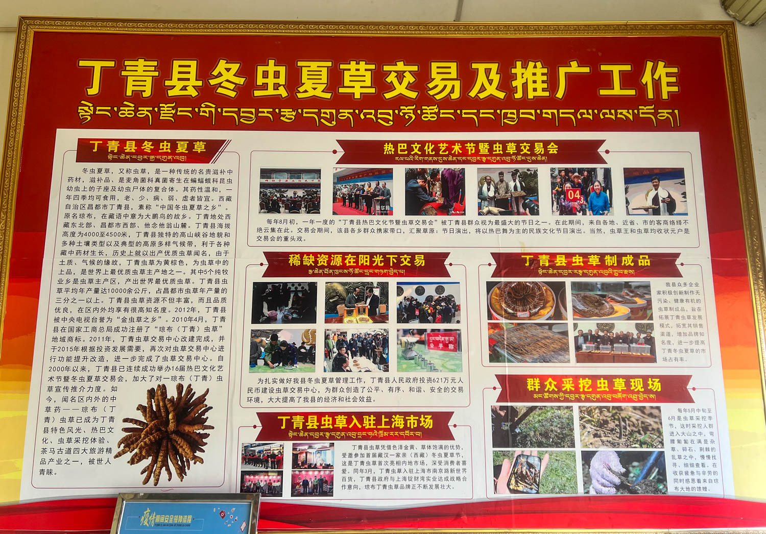 *藏西**东部小城，风光举世闻名，满街都是虫草店，一生一定要游一次