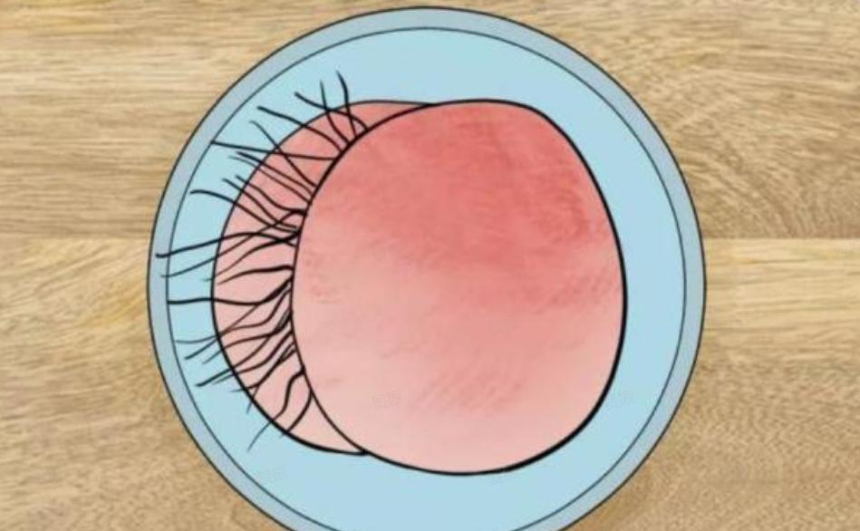 为啥有的人长“屁股毛”，而有的人却不长？为了健康，最好了解下