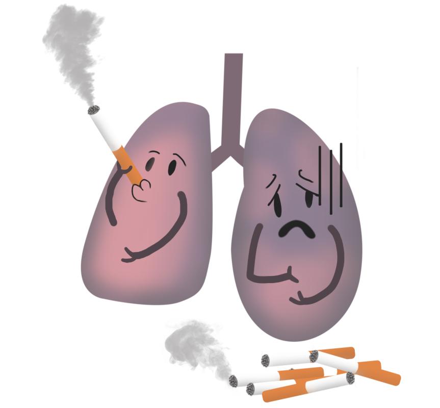 怎样预防癌的发生,预防癌症和肿瘤饮食上注意什么
