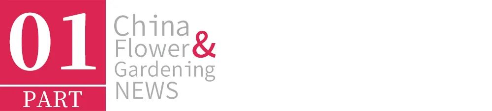 2022年苗市缓缓落幕，谁家欢喜谁家愁？