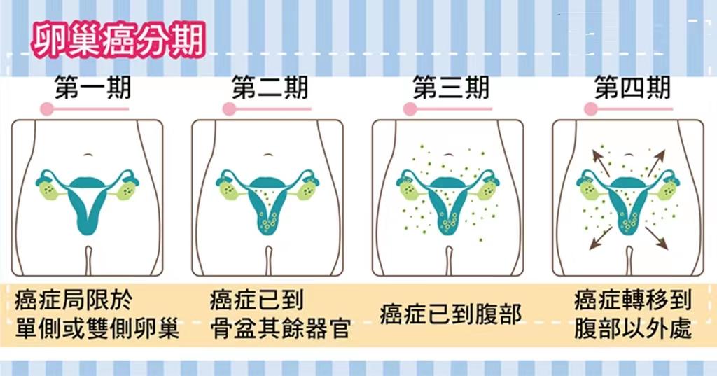 妇科健康科普大赛视频,妇科护理科普健康教育大赛