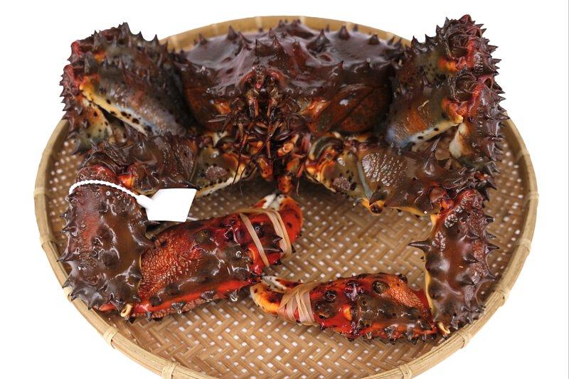 去日本必吃的五种海鲜,到日本必吃的饕餮美食